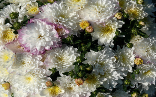 582768 (a): :1680x1050